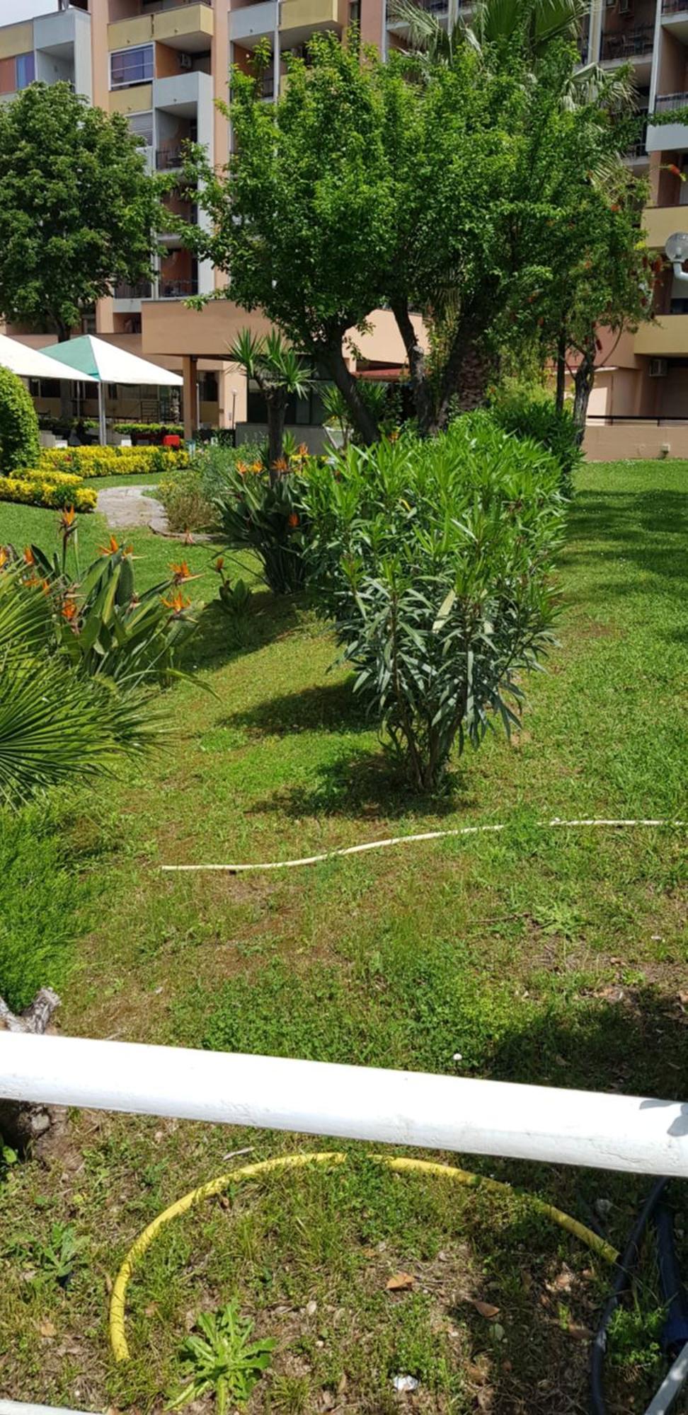 Green Oasis Rome Buitenkant foto